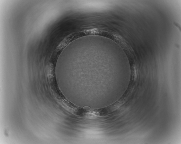 X0000100210760200805301326