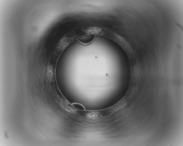 X0000100210761200805301326