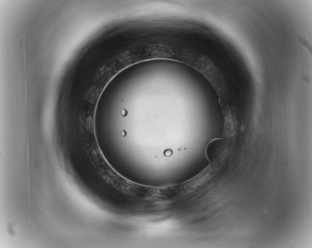 X0000100210765200805301326