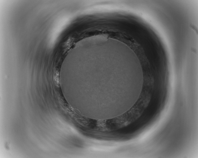 X0000100210766200805301326