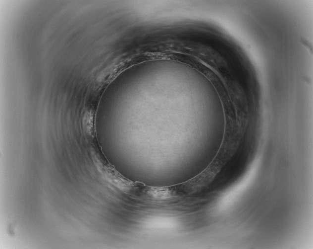 X0000100210767200805301326