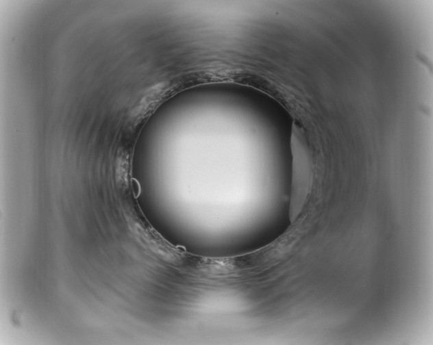 X0000100210768200805301326