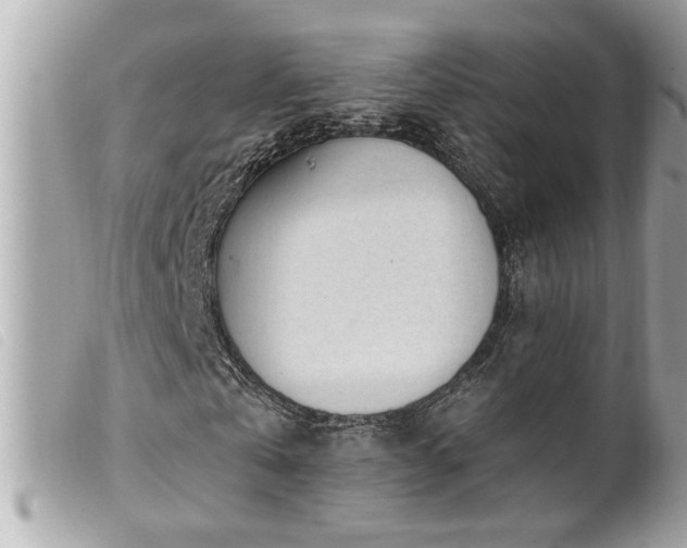 X0000100210769200805301325