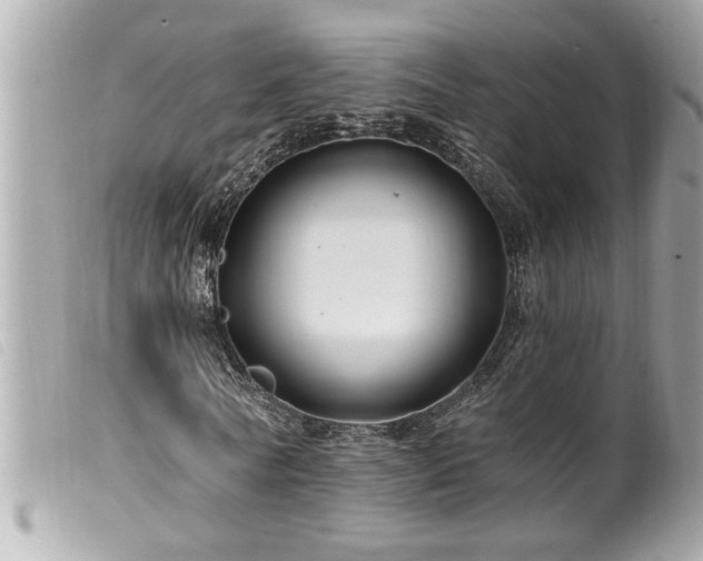X0000100210770200805301325