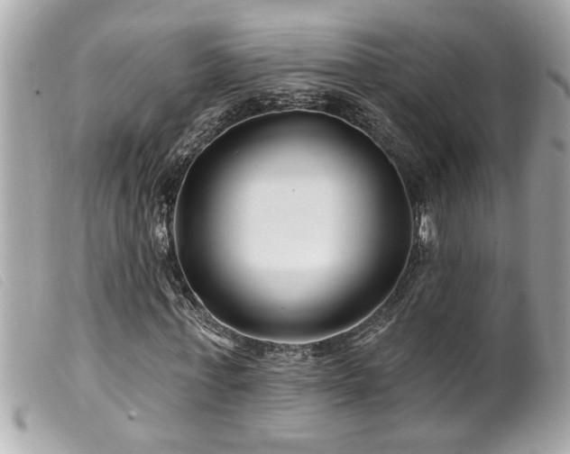 X0000100210771200805301325