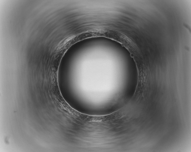 X0000100210773200805301325