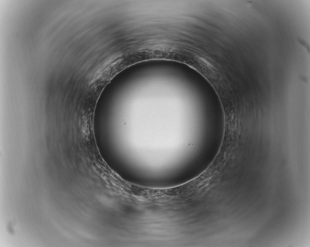 X0000100210774200805301325