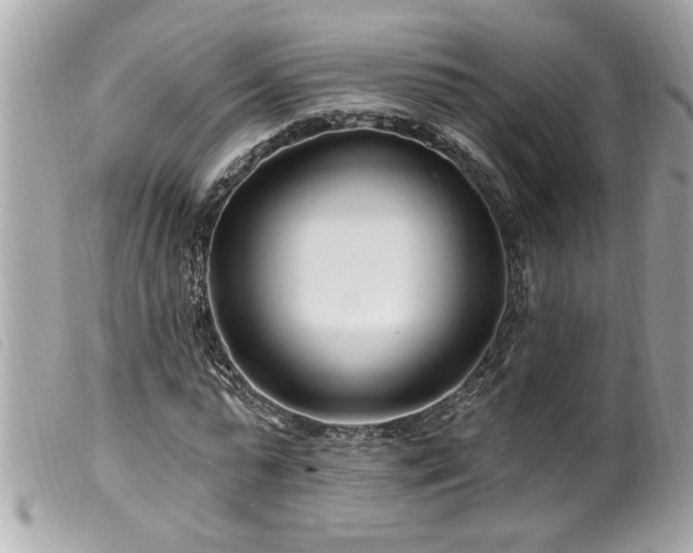 X0000100210775200805301325