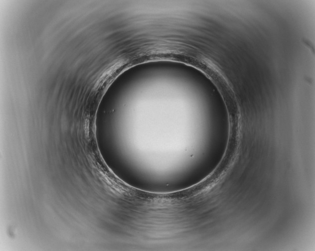 X0000100210777200805301325