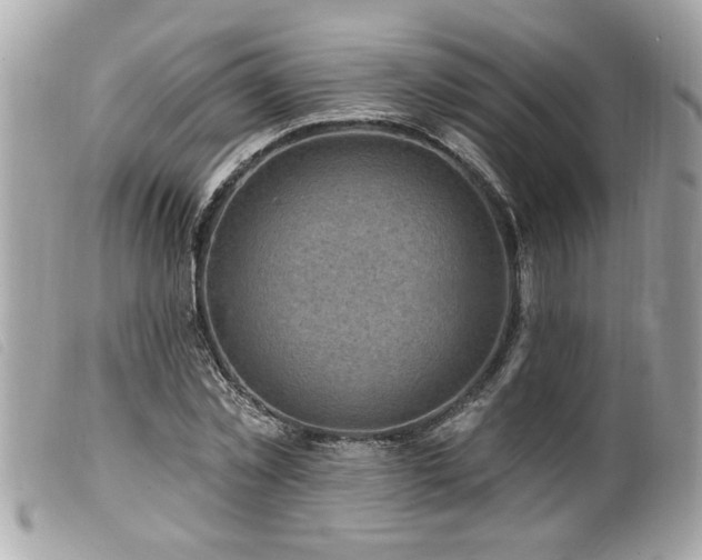 X0000100210781200805301325