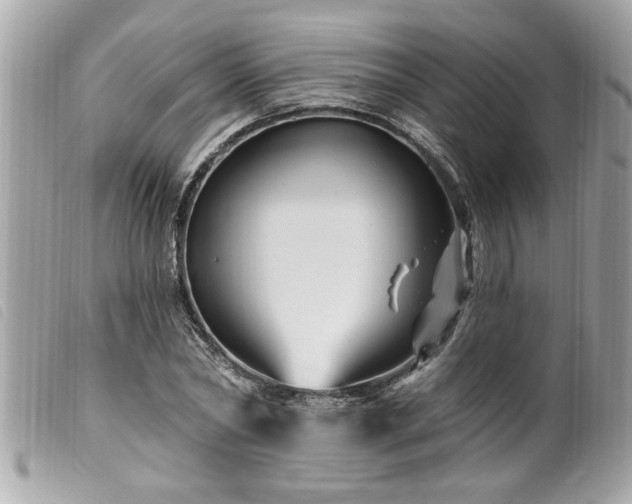X0000100210782200805301325