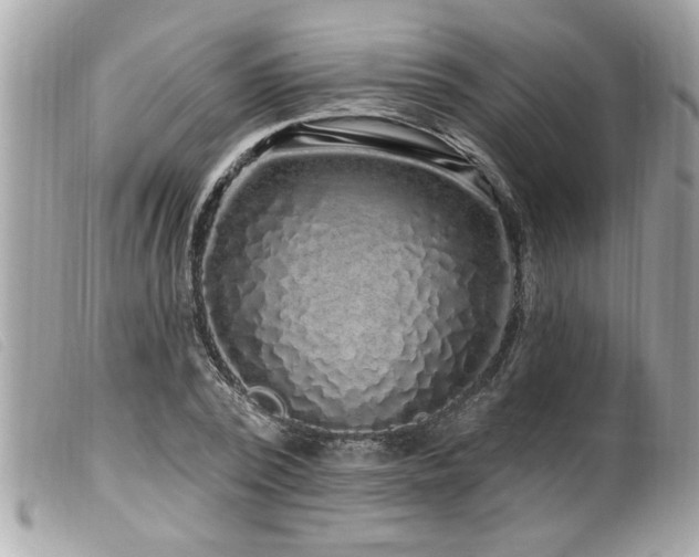 X0000100210784200805301325