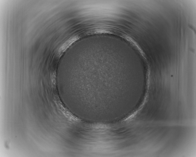 X0000100210785200805301325