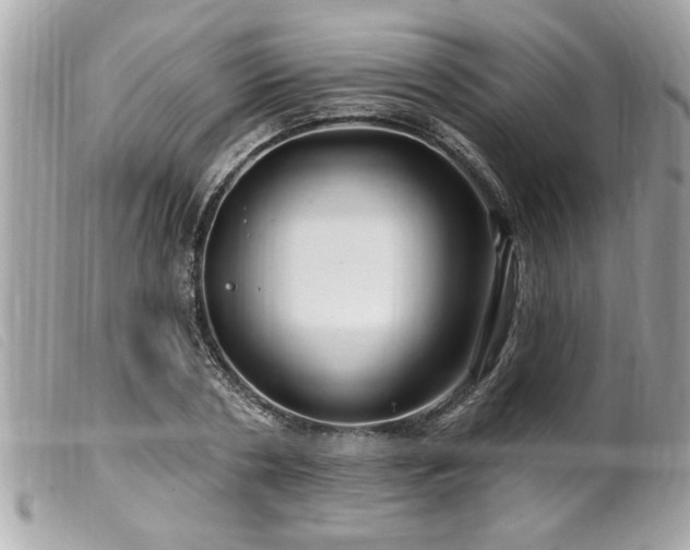 X0000100210786200805301325