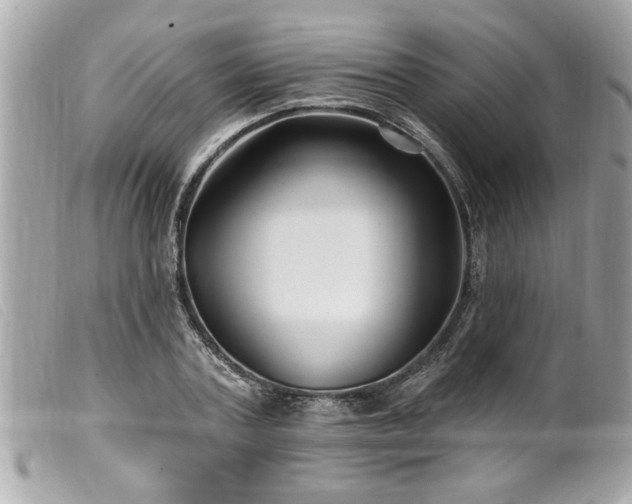 X0000100210787200805301325