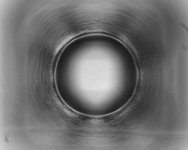 X0000100210789200805301325