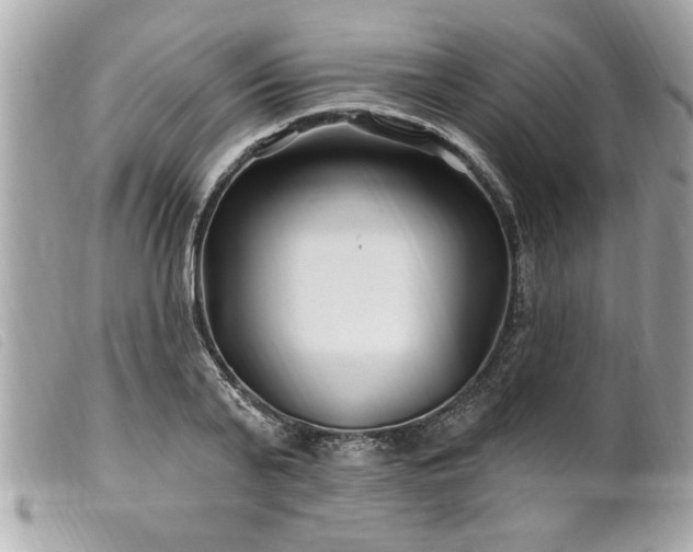 X0000100210791200805301325