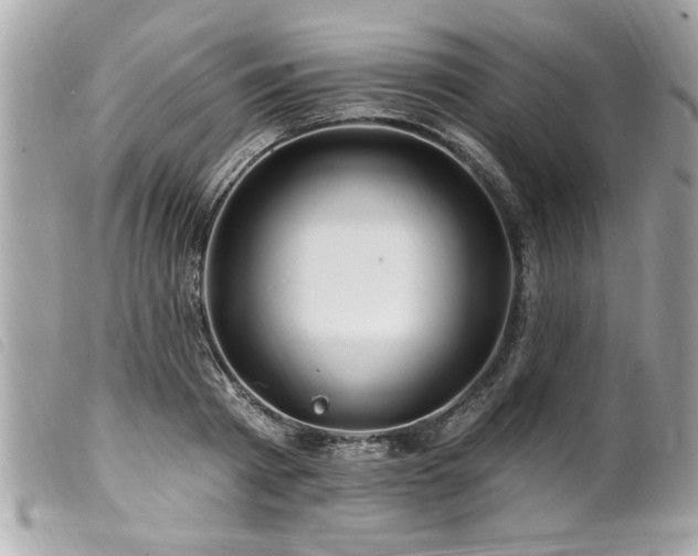 X0000100210793200805301325