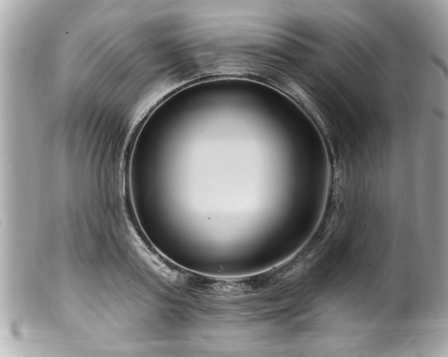 X0000100210795200805301325