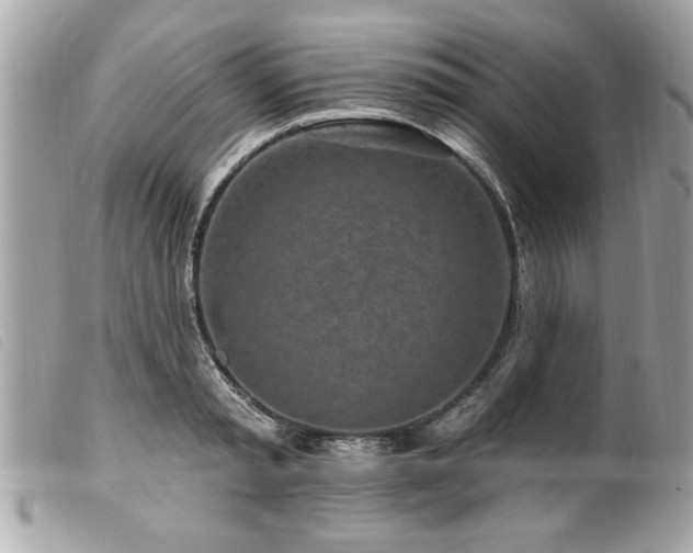 X0000100210797200805301325
