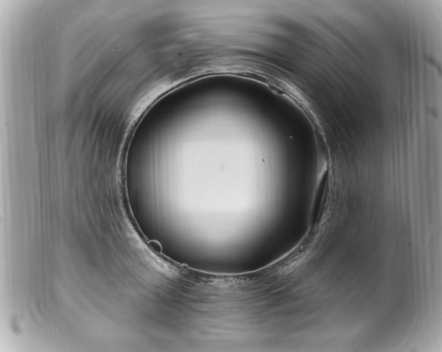 X0000100210803200805301325
