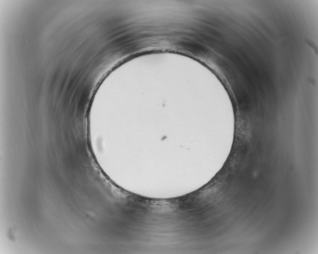 X0000100210807200805301325
