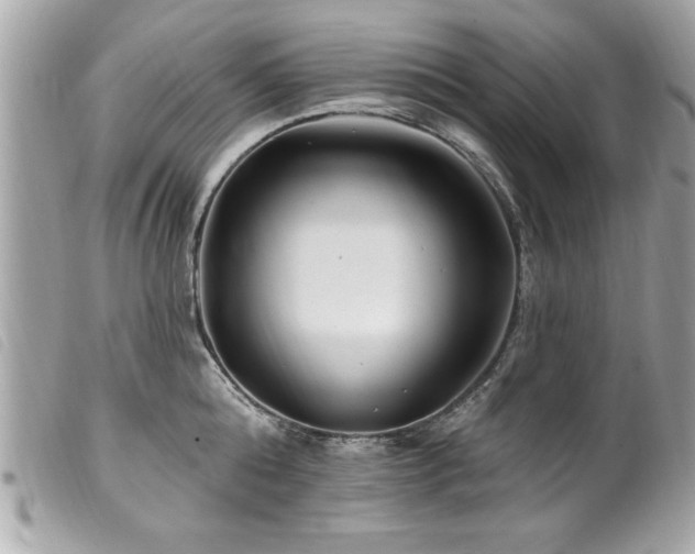 X0000100210808200805301324
