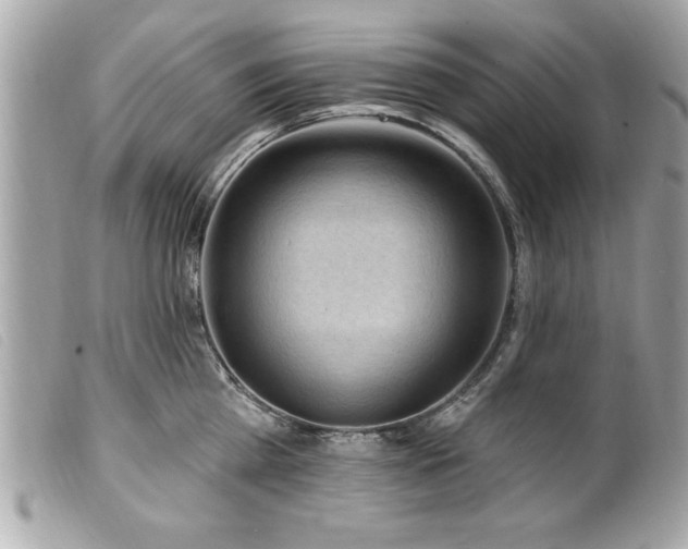 X0000100210809200805301324