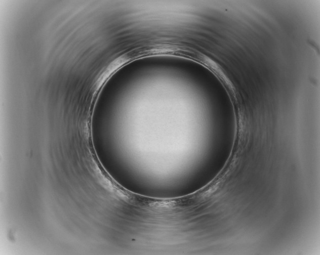 X0000100210810200805301324