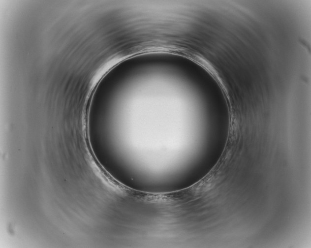X0000100210811200805301324