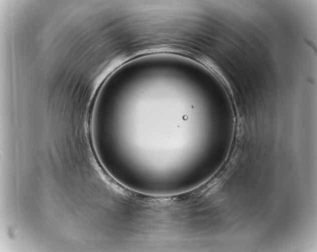 X0000100210813200805301324