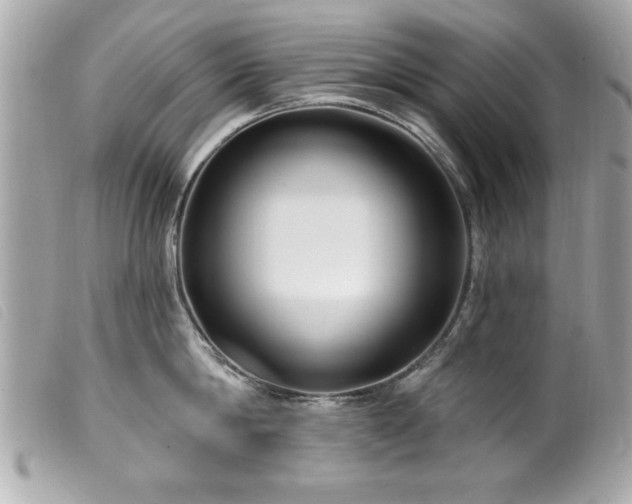 X0000100210814200805301324