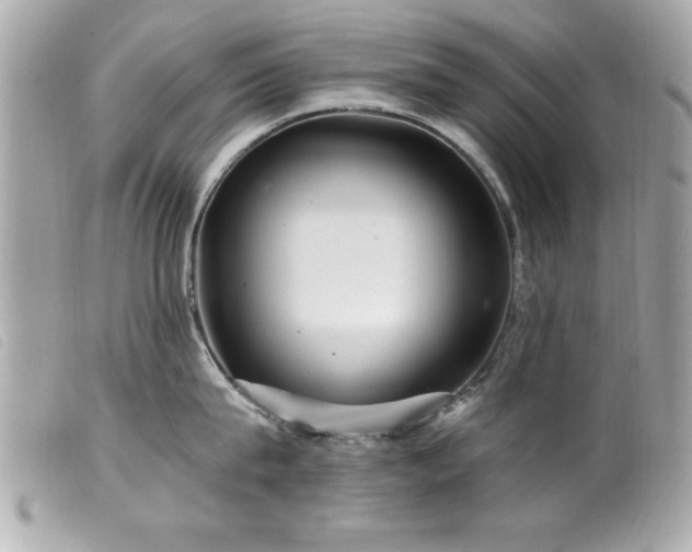 X0000100210815200805301324