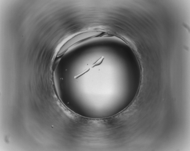 X0000100210816200805301324