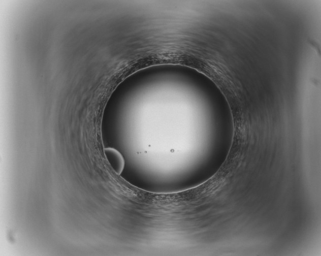X0000100210817200805301324