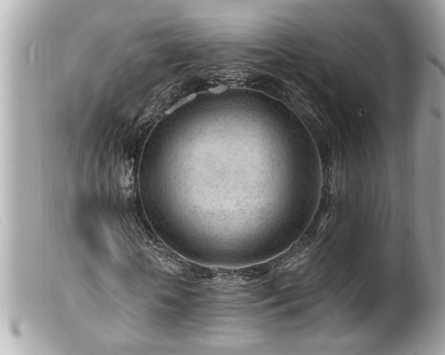 X0000100210818200805301324
