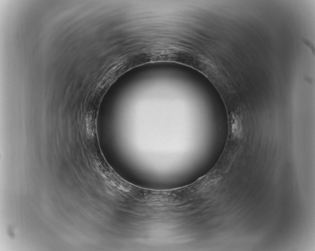 X0000100210819200805301324