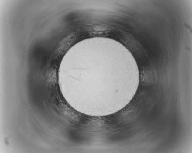 X0000100210820200805301324