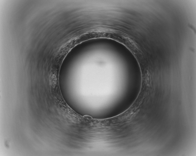 X0000100210821200805301324
