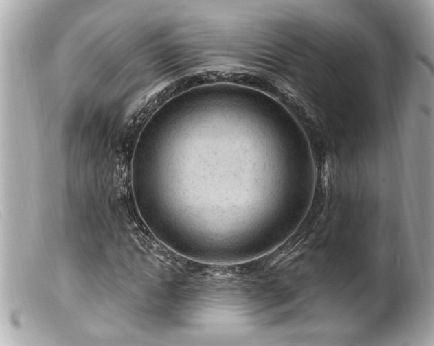 X0000100210822200805301324