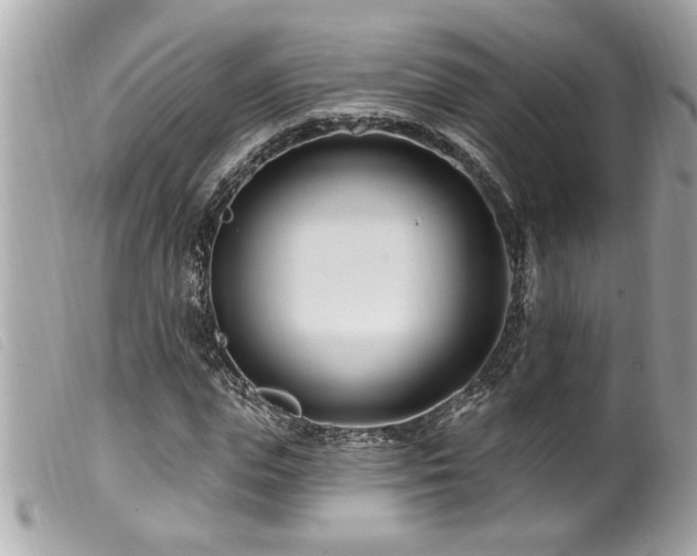 X0000100210823200805301324