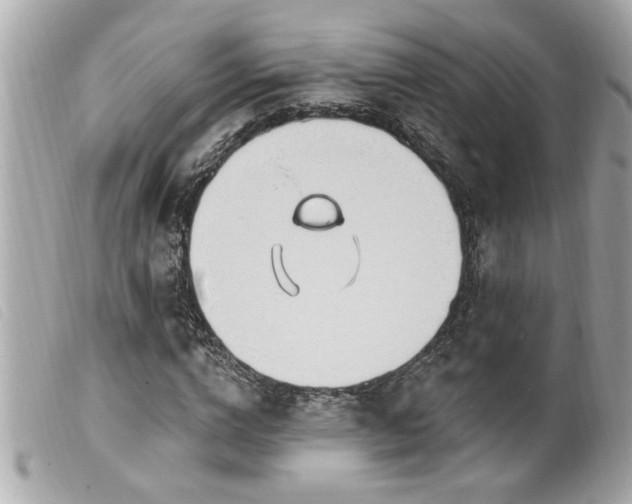X0000100210824200805301324