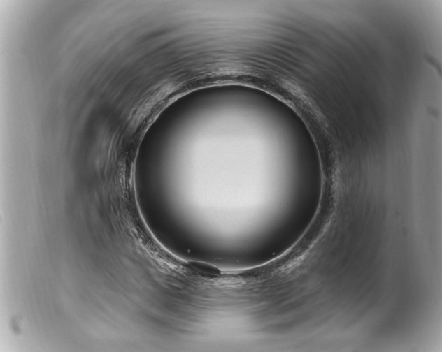 X0000100210825200805301324
