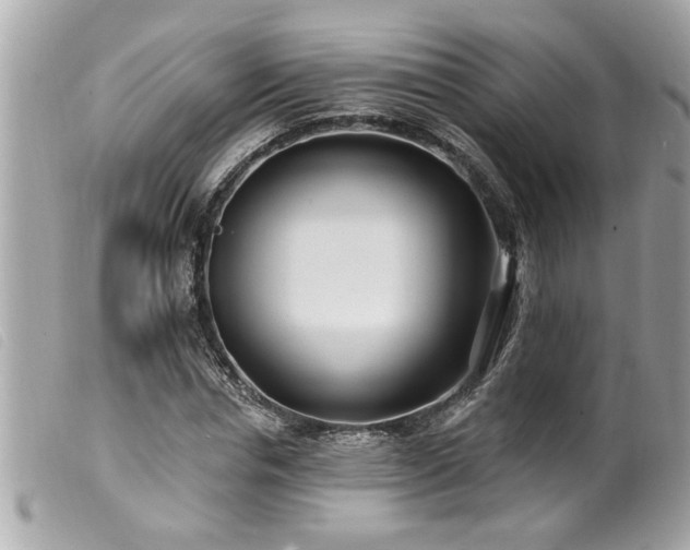 X0000100210826200805301324