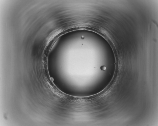 X0000100210827200805301324