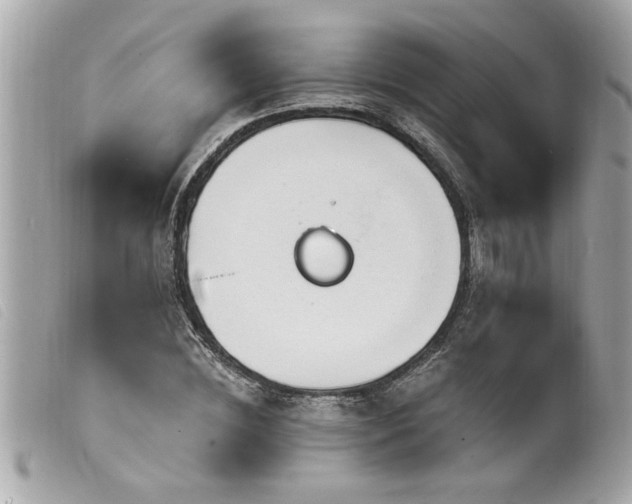 X0000100210828200805301324