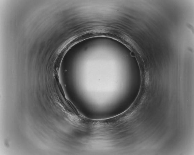 X0000100210829200805301324