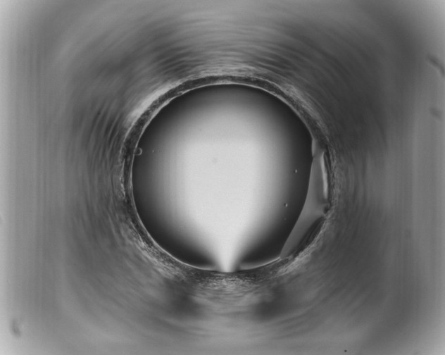 X0000100210830200805301324