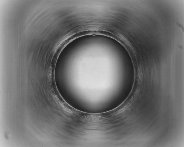 X0000100210831200805301324