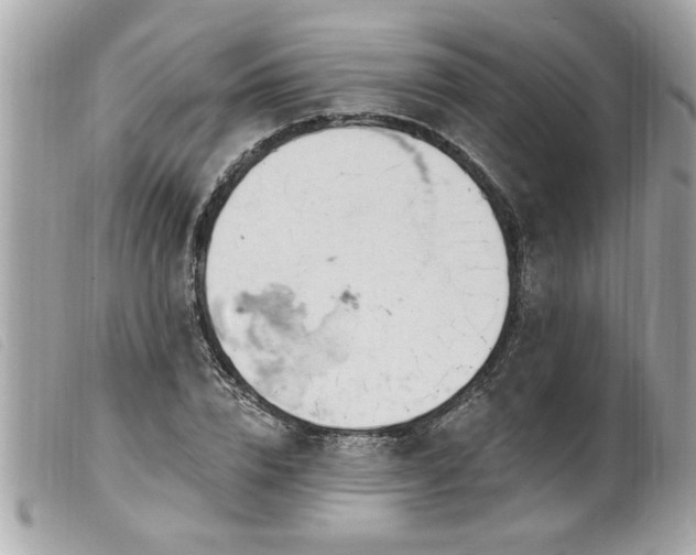 X0000100210832200805301324